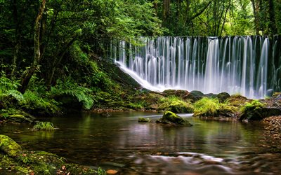 Galicia, beautiful nature, waterfall, jungle, Spain, Europe