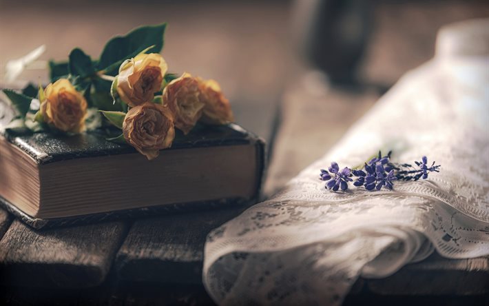 livre sur la table, roses s&#233;ch&#233;es, livre ancien, de tulle blanc, de belles fleurs