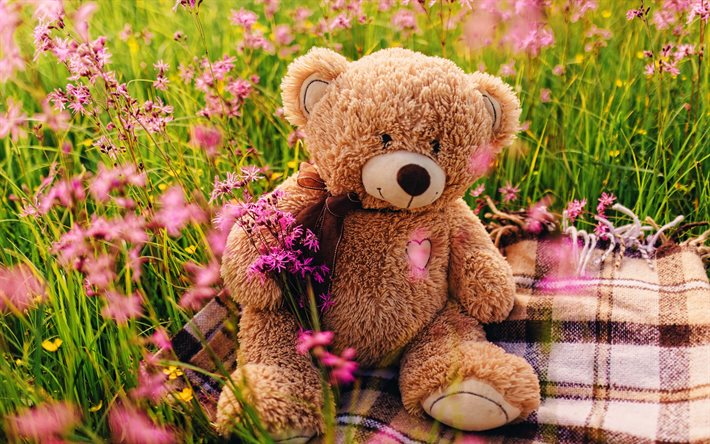 oso de peluche, flores de color p&#250;rpura, animales lindos, bokeh, juguetes de peluche, lindo oso, osito de peluche en cuadros