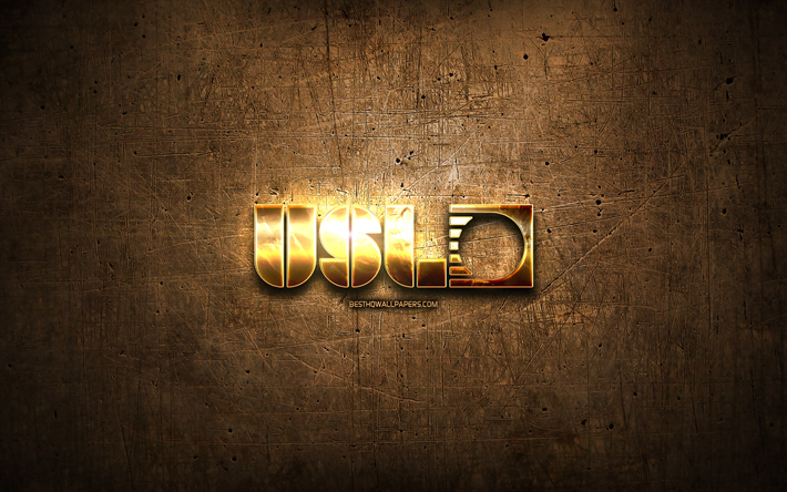 USL golden logo, football leagues, artwork, United Soccer League, brown metal background, creative, USL logo, brands, USL
