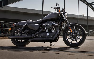 Harley-Davidson Iron 883, superbike, 2019 polkupy&#246;r&#228;&#228;, musta moottoripy&#246;r&#228;, 2019 Harley-Davidson Iron 883, amerikkalainen moottoripy&#246;rien, Harley-Davidson