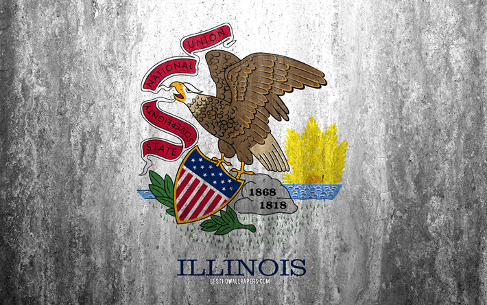 Bandiera dell&#39;Illinois, 4k, pietra, sfondo, Americano, stato, grunge, bandiera, Illinois bandiera, USA, arte, Illinois, le bandiere degli stati degli stati uniti