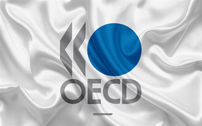 La bandera de la OCDE, la Organizaci&#243;n para la Cooperaci&#243;n y el Desarrollo Econ&#243;mico, 4k, seda textura, bandera de seda blanca, de la OCDE, organizaciones internacionales