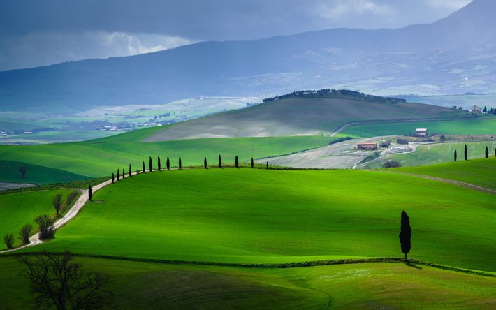 Italia, Toscana, colline verdi, estate, Europa, natura bellissima