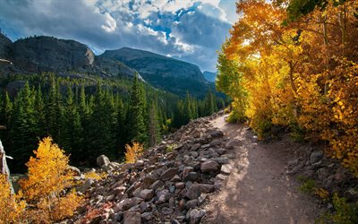 Rocky Mountain National Park, USA, bergslandskapet, kv&#228;ll, sunset, skogen, berg, Boulder l&#228;n, Colorado, Usa