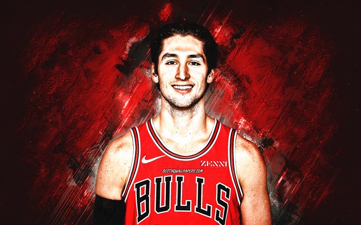 Ryan Arcidiacono, NBA, Chicago Bulls, pedra vermelha de fundo, - Jogador De Basquete Americano, retrato, EUA, basquete, Chicago Bulls jogadores