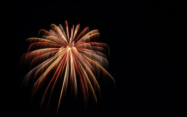 fireworks on black background, night sky, fireworks, holiday, explosion