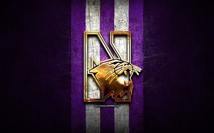 Northwestern Wildcats, golden logo, NCAA, violet metal background, american football club, Northwestern Wildcats logo, american football, USA