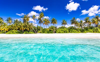 Indian Ocean, tropical islands, Seychelles, beach, palm trees, summer, blue lagoon, coast, summer travel