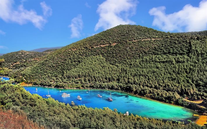 Bodrum, bay, Mar Egeu, lagoa azul, paisagem de montanha, floresta, A turquia
