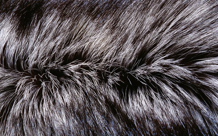 gris peludo textura, 4k, macro, lana de texturas, peludo or&#237;genes, de pelaje gris or&#237;genes, de piel de texturas, fondos con la piel