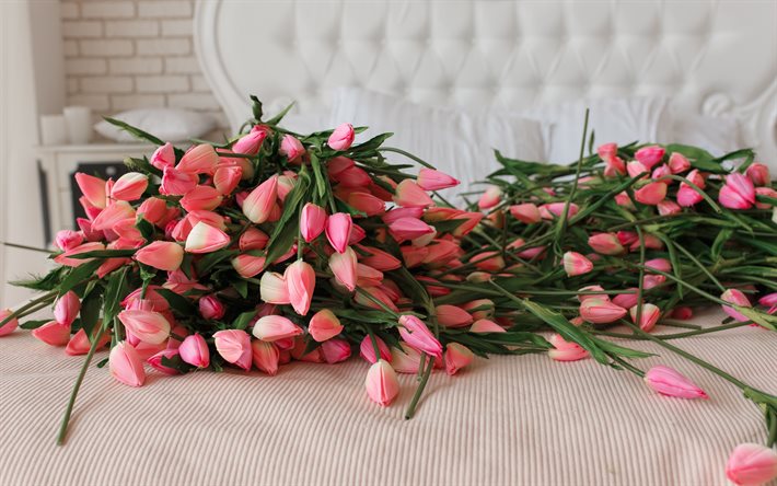 montagne de tulipes, de roses tulipes, fleurs roses, tulipes, fleurs de printemps, d&#233;coration florale