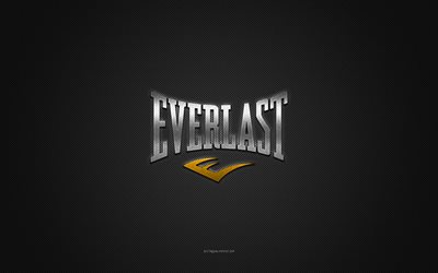 Everlast logo, silver shiny logo, Everlast metal emblem, gray carbon fiber texture, Everlast, brands, creative art, Everlast emblem