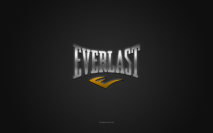 Everlast logo, silver shiny logo, Everlast metal emblem, gray carbon fiber texture, Everlast, brands, creative art, Everlast emblem