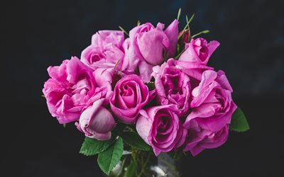 vaaleanpunaiset ruusut, ruusukimppu, vaaleanpunaiset kukat, violetit ruusut, tausta ruusuilla, kauniita kukkia