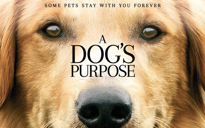 A Dogs Purpose, 2017, New movie, promo, poster