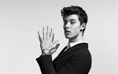 Shawn Mendes, Canadian pop singer, young stars, young singer, portrait