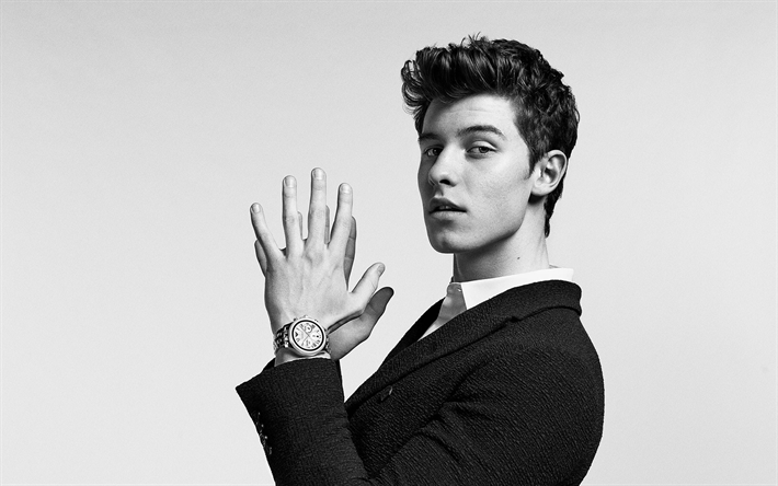 Shawn Mendes, cantante pop Canadese, stelle giovani, giovane cantante, ritratto