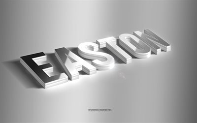 ايستون, فن 3d الفضة, خلفية رمادية, خلفيات بأسماء, اسم ايستون, بطاقة معايدة ايستون, فن ثلاثي الأبعاد, صورة باسم ايستون
