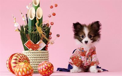 kimono, chien, ikebana, bambou, sakura