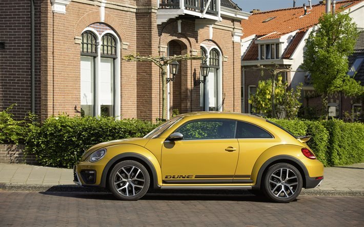 volkswagen, dune, beetle, vus, wolkswagen