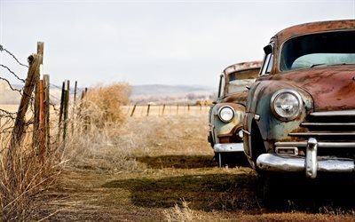 field, fence, old cars
