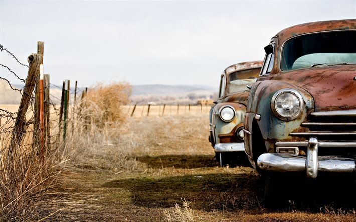 campo, cerca, carros antigos