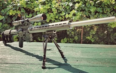 ar-15 sniper rifle, assault rifle, riflescope