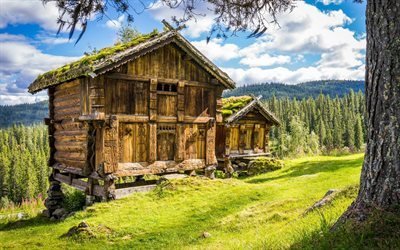 forest, old barn, mountains, norway