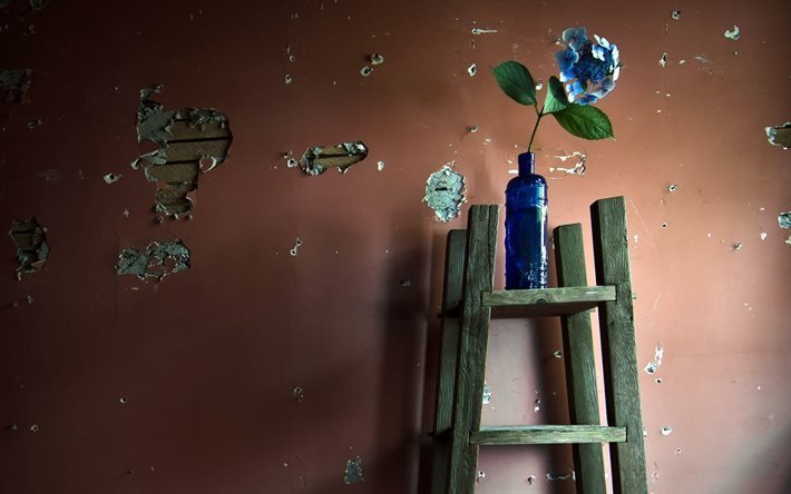 blue bottle, flowers, plaster