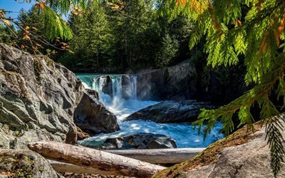 mountain river, thresholds, waterfall, cheakamus river, forest, canada, logs, british columbia