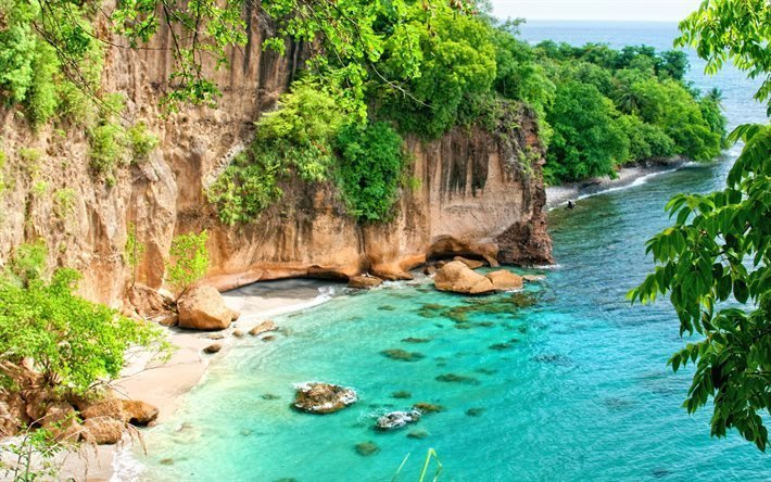 antillerna, dominica, tropiska &#246;n, karibiska havet, havet, kusten, v&#228;stindien