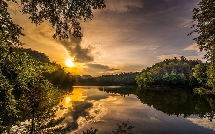 Download wallpapers forest, sunset, beautiful nature, sun, lake ...