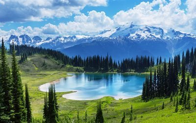 los verdes prados, lago de montaña, montañas, la primavera, canadá