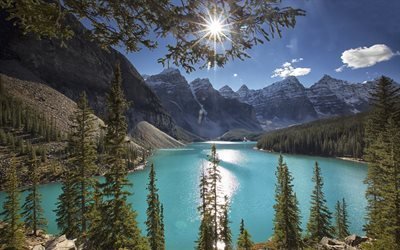 moraine lake, montañas, alberta, bosque, canadá