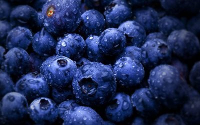 blueberries, agodi, bayas