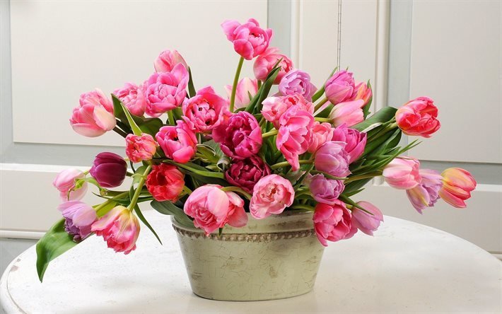 un bouquet de tulipes, vase, tulipes roses, fleurs roses, les tulipes