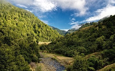 mountain stream, slopes of mountains, mountains, forest, blue sky, new zealand
