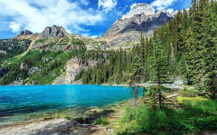 tree, mountain landscape, forest, lake, mountains, canada