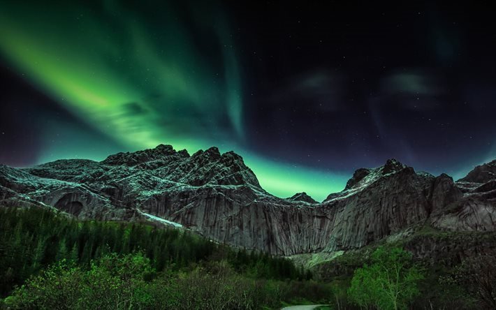 gori, kayalar, orman, kuzey ışıkları, norve&#231;, dağlar