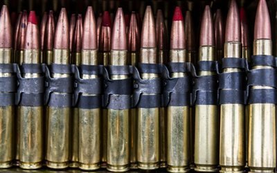 cartridges, gun belts, patroni, ammunition