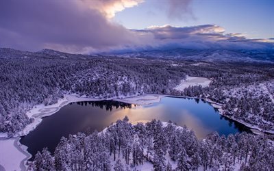 az, goldwater湖, 湖goldwater, 風景, 雪, プレスコット, 森林, 冬, 湖, アリゾナ