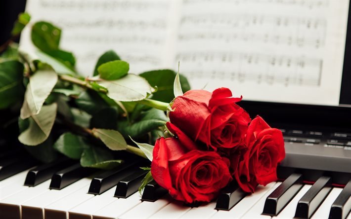 plan, les touches d&#39;un piano, fleurs, les roses rouges
