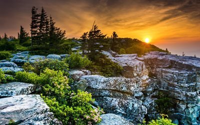 森林, 米国, 岩, 山々, 石, 夕日, 山の風景, ウェストバージニア州