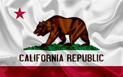 California Flag, flags of States, flag State of California, USA, state California, bear