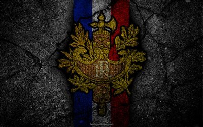 coat of arms of France, French coat of arms, grunge, flag of France, art, French flag, symbolism of France
