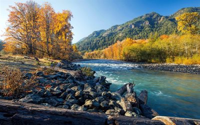 America, 4k, autumn, river, forest, mountains, USA
