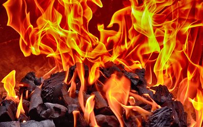 4k, bonfire, fire, firewood, fireplace, wood charcoal, flames, close-up