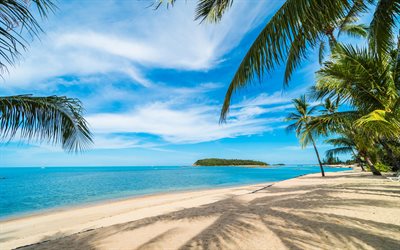 palme, spiaggia, tropicale, isola, foglie di palma, resort, rilassare, estivo, oceano, laguna blu