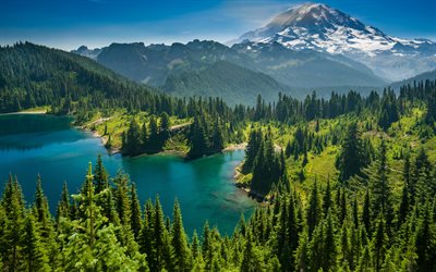 Mount Rainier National Park, 4k, lago, floresta, montanhas, O Monte Rainier, EUA, Am&#233;rica, ver&#227;o